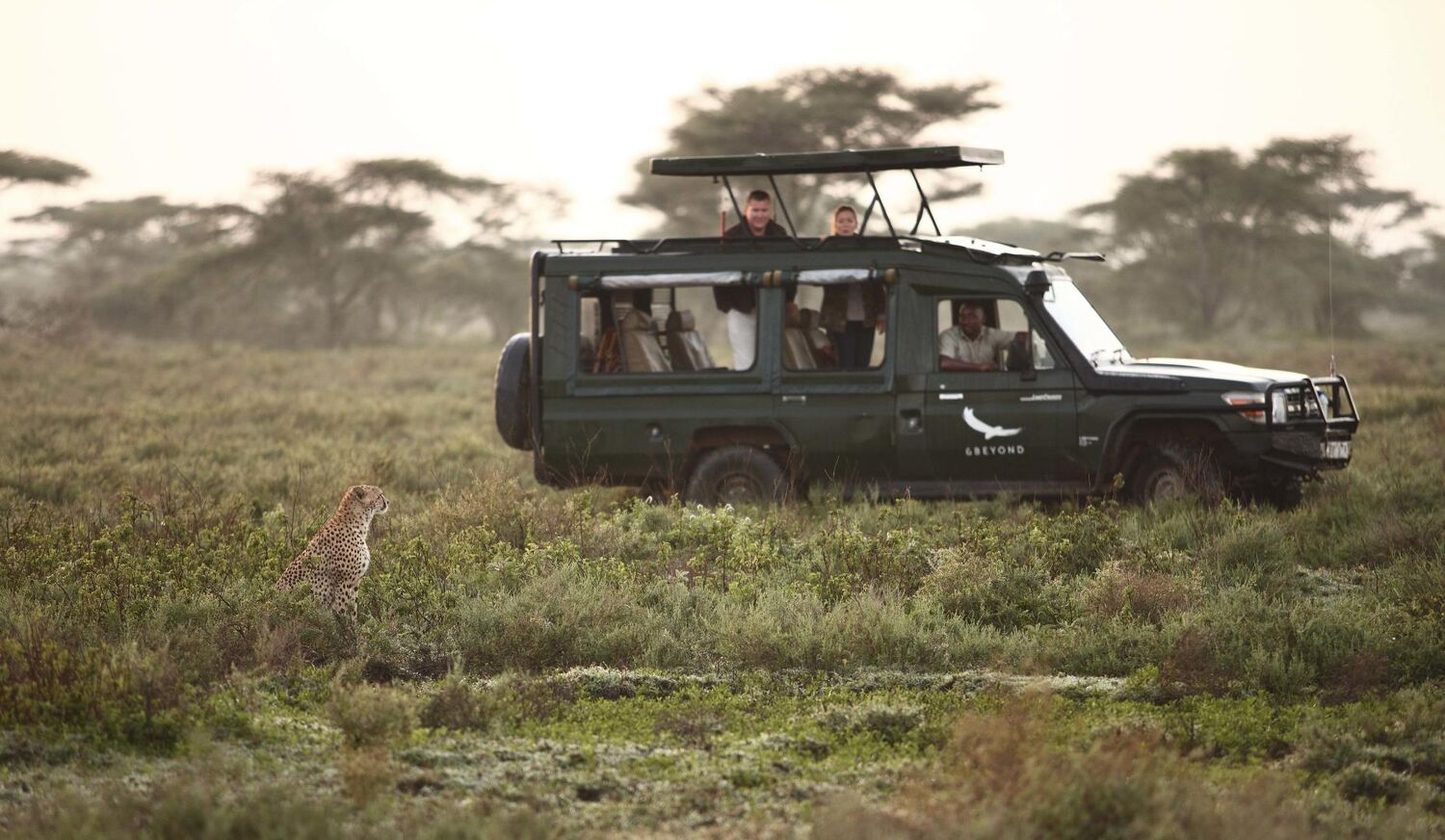 PlaceholderImage1302